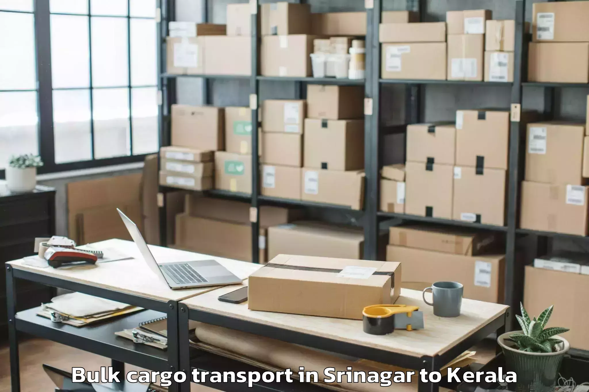 Professional Srinagar to Punalur Bulk Cargo Transport